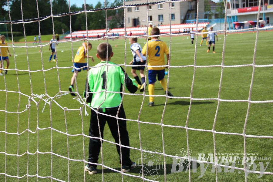 «Локобол-2013» в Великих Луках