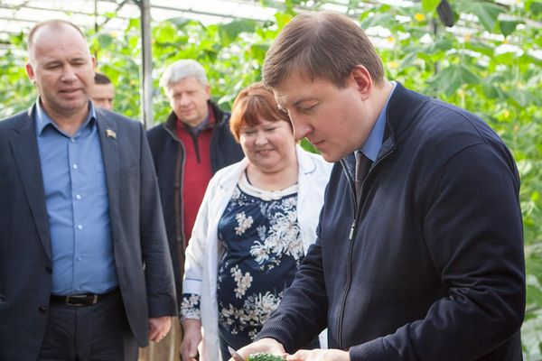 Андрей Турчак попробовал новый урожай огурцов (фото)