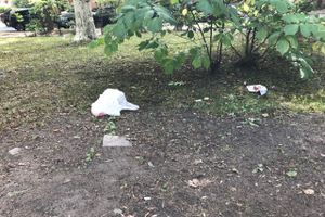 Парк Пушкина: «... А вкруг меня глухое запустенье...» (ФОТО)