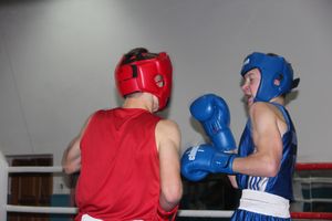 Открытое первенство по боксу прошло в Великих Луках (ФОТО)