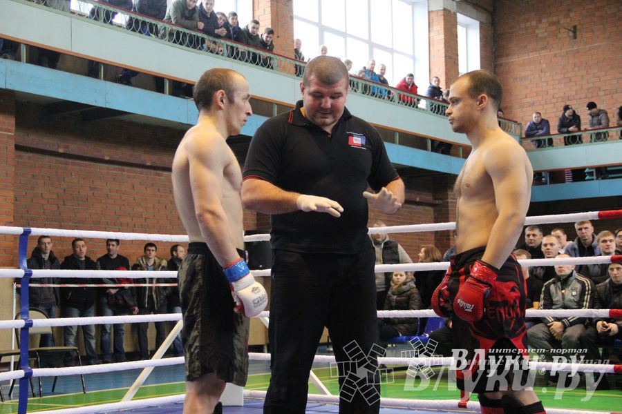 В Великих Луках прошел межрегиональный Открытый Кубок по смешанному боевому единоборству (фото)