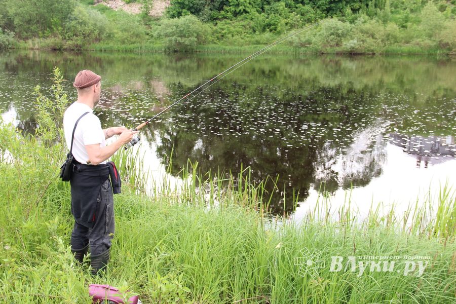 Чемпионат Великих Лук по ловле спиннингом: клевала, но мало (ФОТО)