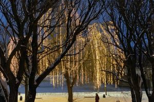 Великие Луки продолжают украшать к Новому году (ФОТО)