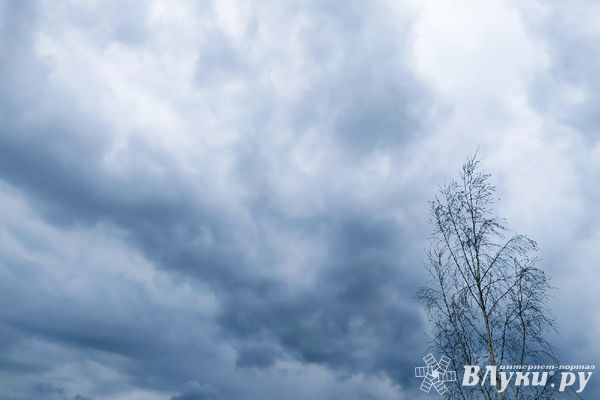 Прогноз погоды на 8 октября в Великих Луках