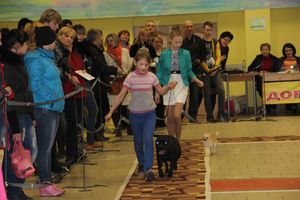 Всероссийская выставка собак в Великих Луках (фото)