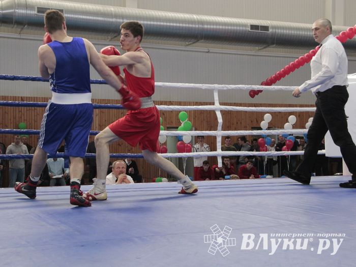 Матчевая встреча по боксу Великие Луки —Псков — Грозный (ФОТО)