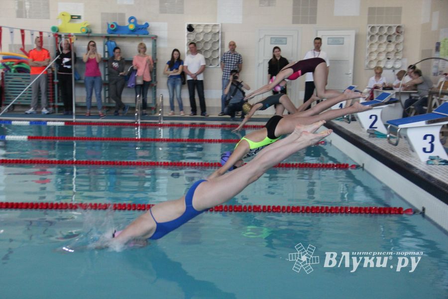 В «Айсберге» прошло Первенство города по плаванию (ФОТО)