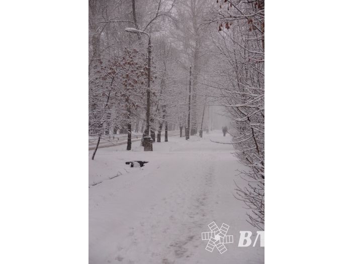 В Великих Луках снегопад и «день жестянщика» (фото)