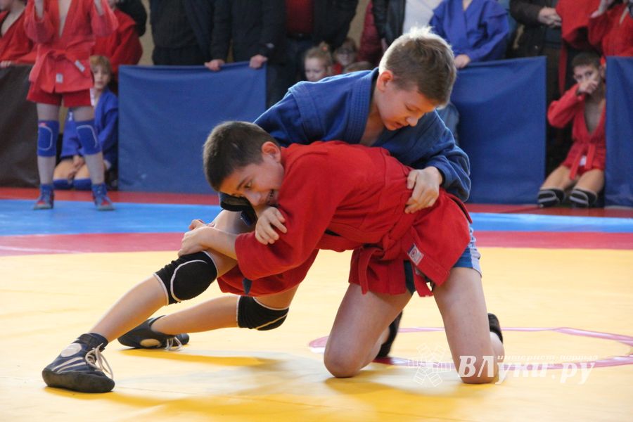 Великолучане завоевали награды турнира по самбо «Память» (ФОТО)