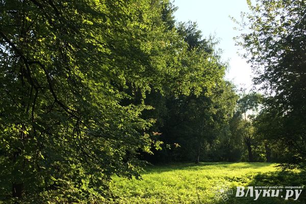 Рост клещевых инфекций фиксируется в Псковской области