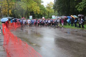 В Великих Луках прошел «Кросс Нации - 2015» (фото)