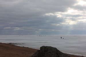 23 рыбака-любителя оказались отрезанными от берега (фото)