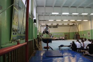 В Великих Луках проходят соревнования по гимнастике (ФОТО)