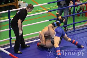В Великих Луках прошел межрегиональный Открытый Кубок по смешанному боевому единоборству (фото)