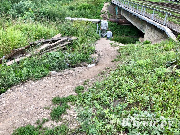 Великолучанка собралась жаловаться Путину на опасный Лазавицкий переезд (ФОТО)
