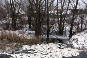 Удивительное природное явление в Великих Луках (ФОТО)