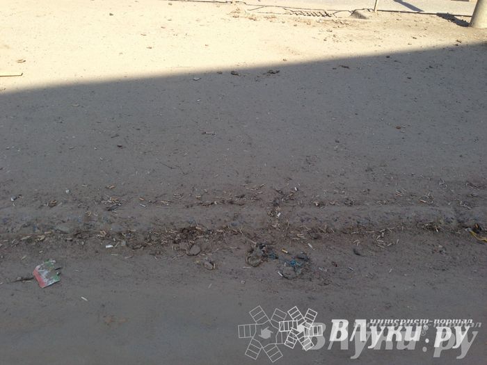 Весне дорогу!