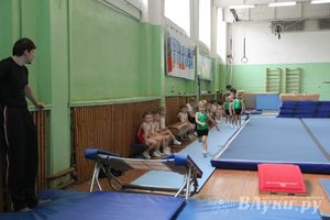 В Великих Луках состоялось Первенство по командной гимнастике (фото)