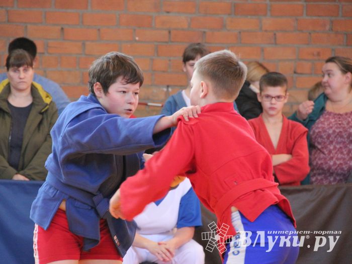 Великолучане завоевали награды турнира по самбо «Память» (ФОТО)