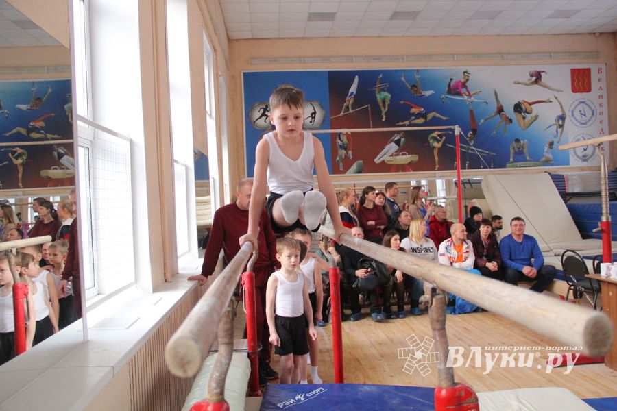 В ДЮСШ «Атлетика» прошли соревнования по спортивной гимнастике (ФОТО)