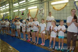 Юные великолучане соревновались за кубок Деда Мороза (фото)