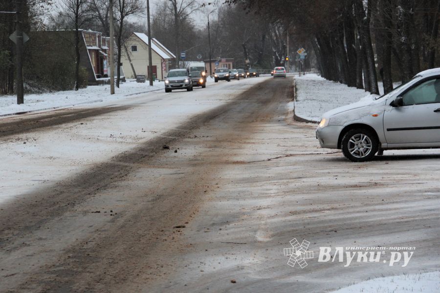 В Великих Луках — 20 км/ч (ФОТО)