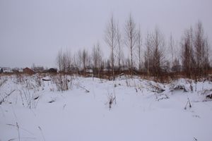 Губернатору не понравилось место для новой школы в Великих Луках (ФОТО)