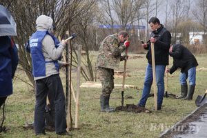 У Братского кладбища высадили новую аллею (фото)