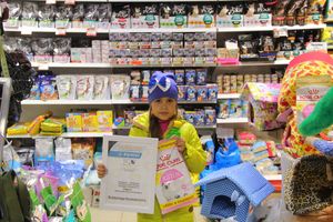 Победители фотоконкурса «Осеннее мурчание» награждены (ФОТО)