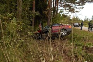 Смертельное ДТП произошло в Пушкиногорском районе (ФОТО)