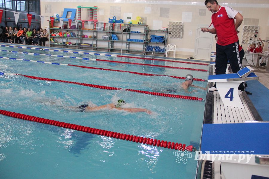 В Великих Луках прошло Первенство города по плаванию (ФОТО)