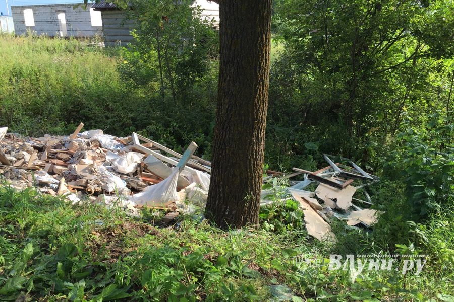 На обочину трассы Булынино-Невель выбрасывают даже автомобили (ФОТО)