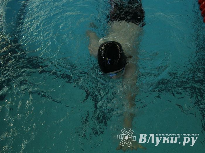 В Великих Луках прошел Чемпионат и Кубок города по плаванию (фото)