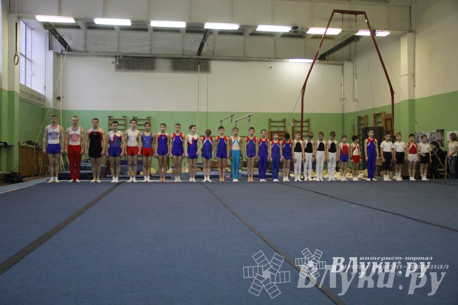 В Великих Луках прошло Первенство Области по спортивной гимнастики (фото)