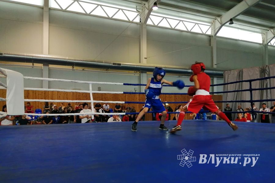 1-й Фестиваль боевых искусств состоялся в Великих Луках  (ФОТО)