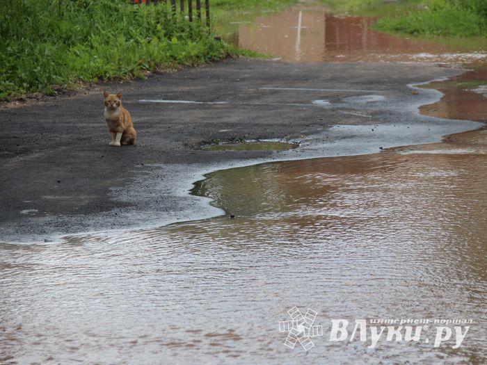 Серьёзная авария на водопроводе в Великих Луках (ФОТО; ВИДЕО)