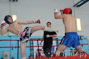 Чемпионат Псковской области по ММА