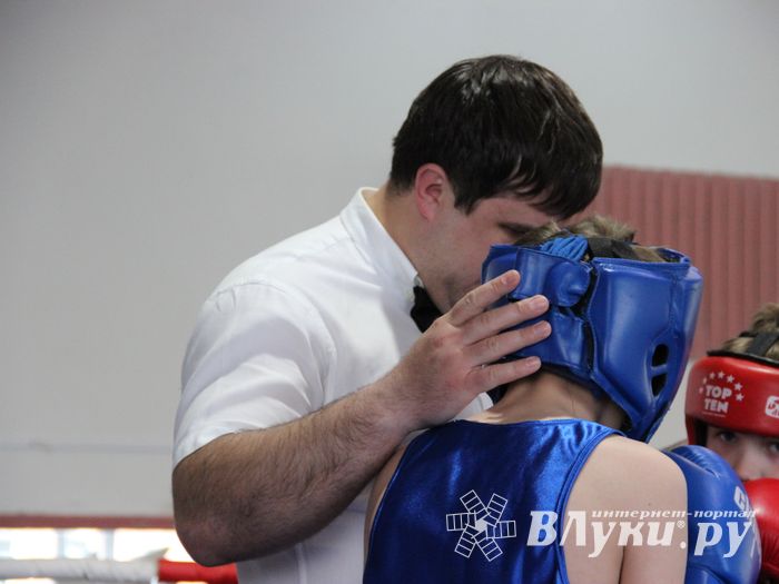 Юные великолучане выявили сильнейших боксёров (ФОТО)