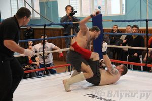 Открытый Кубок города Великие Луки по смешанному боевому единоборству (ММА)