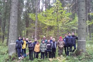 В псковской области прошла акция «Живи,лес!» (ФОТО)