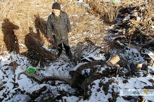 Бульдозерист из Бежаниц нашел на свалке питона (фото)