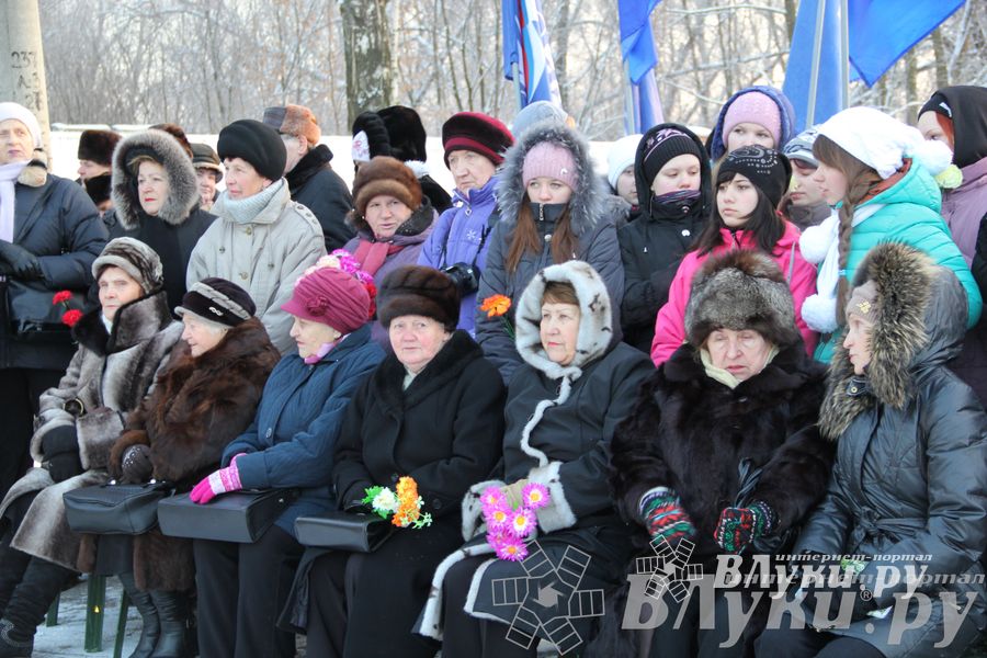 Торжественные мероприятия, посвященные 71-й годовщине освобождения Великих Лук от немецко-фашистских захватчиков (фото)