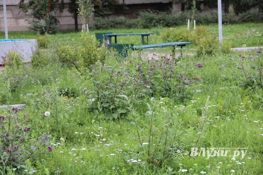 Новый арт-объект появился в Великих Луках (ФОТО)