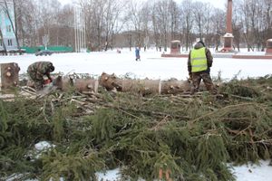 Главная городская ёлка отправилась на свалку (ФОТО)