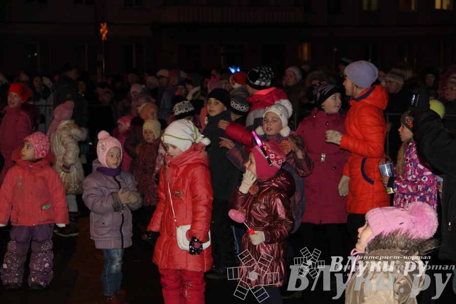 Праздник городской новогодней елки