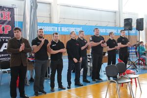 В Великих Луках проходит открытый кубок по смешанному боевому единоборству ММА (ФОТО) (12+)