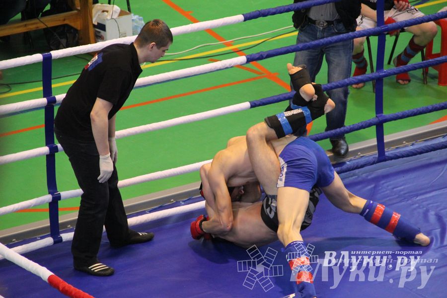 В Великих Луках прошел межрегиональный Открытый Кубок по смешанному боевому единоборству (фото)