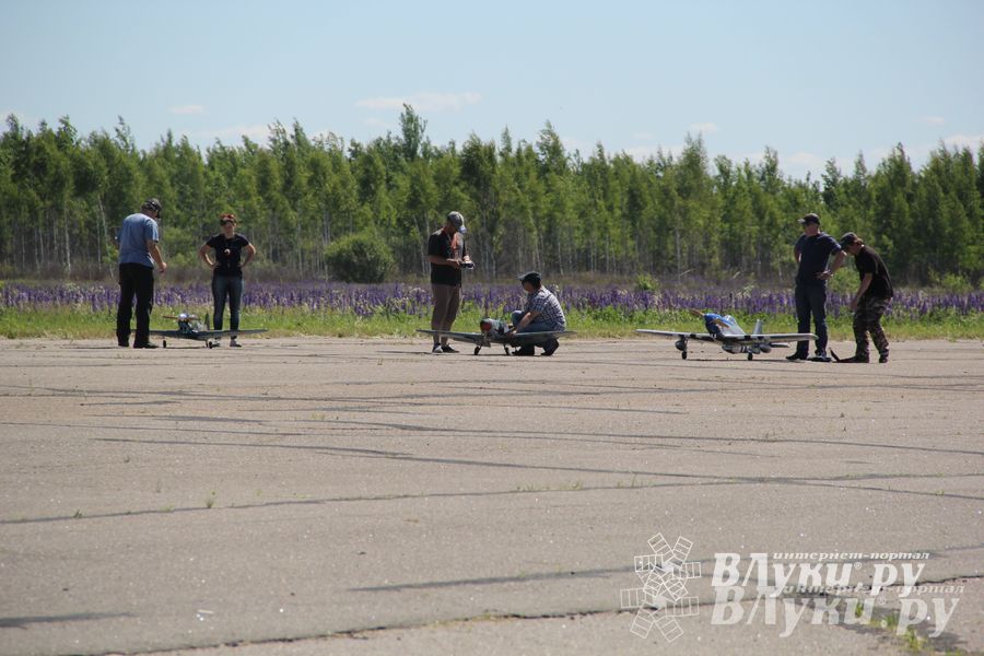 В Великих Луках прошел Фестиваль авиамодельного спорта (фото)