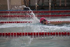 В Великих Луках прошло Первенство города по плаванию (ФОТО)