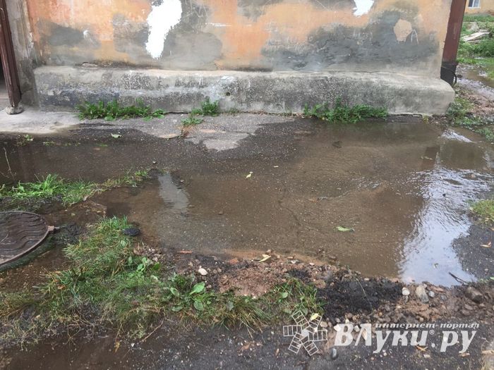 В Великих Луках забил «гейзер», по словам коммунальщиков, «рядовая ситуация» (ФОТО+ЗВУК)